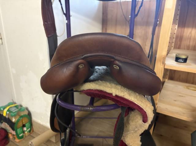 selle Antares 17,5 pouces 