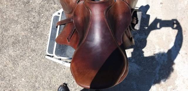 selle CSO ANTARES 17p quartiers 2N