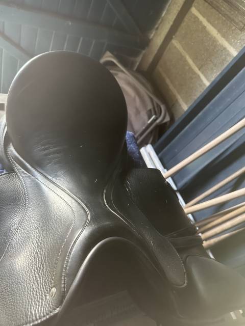 Selle de dressage passier 