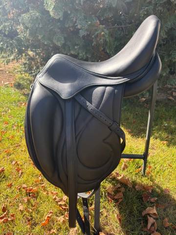 Selle Antares Cadence 17