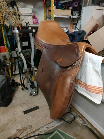 Selle mixte Eric Thomas 