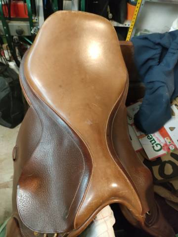 Selle mixte Eric Thomas 