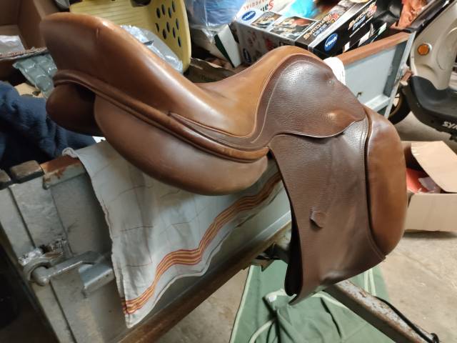 Selle mixte Eric Thomas 