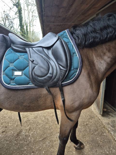 Selle Antares dressage