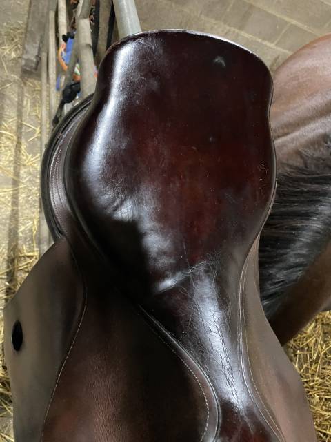 Selle Bruno delgrange 