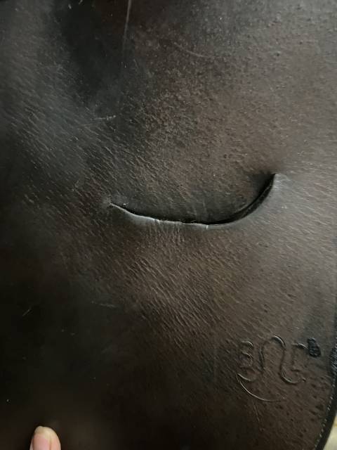 Selle Bruno delgrange 