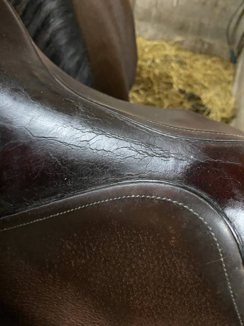 Selle Bruno delgrange 