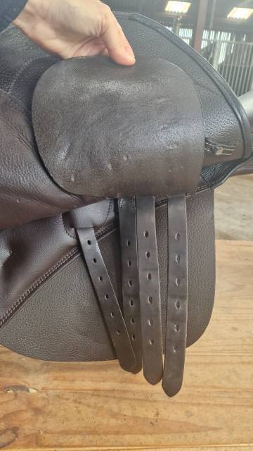 Selle mixte stubben 2024