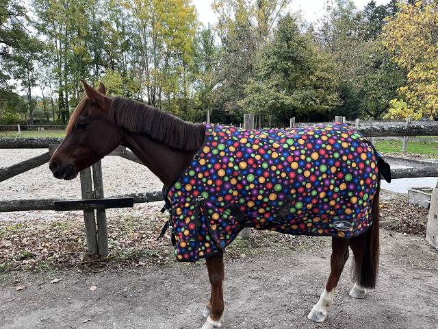 Couverture d’extérieur Performance 300g – Taille 115