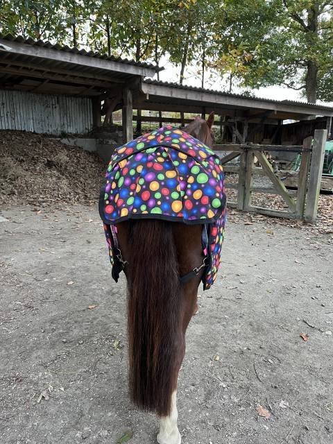 Couverture d’extérieur Performance 300g – Taille 115