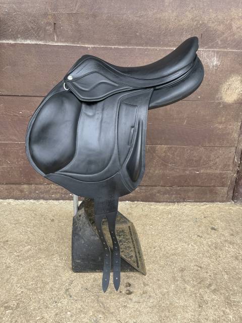 Chilberta lab noire 16’5