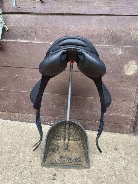 Chilberta lab noire 16’5