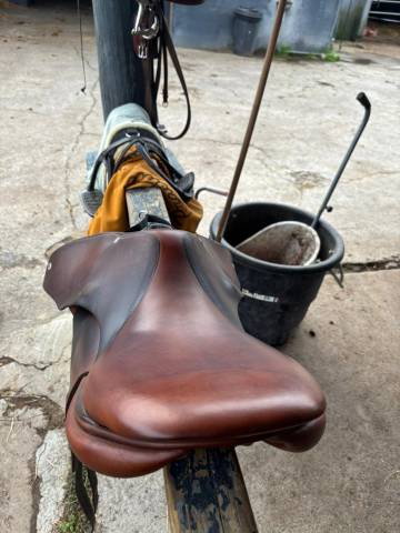 ! URGENT ! Selle practice butet marron 