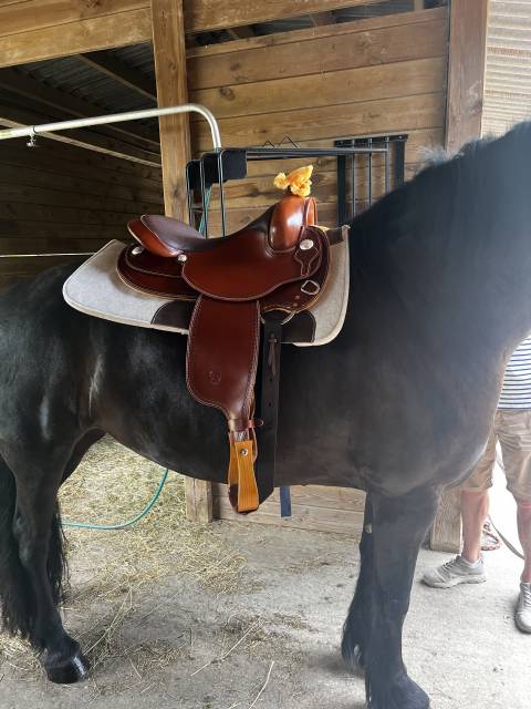 Selle Western West Coast neuve