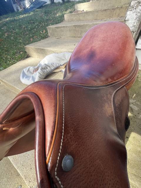 Selle mixte childéric