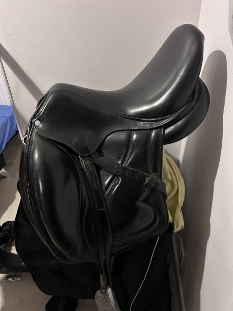 A vendre selle de dressage Antares Taille 16,5