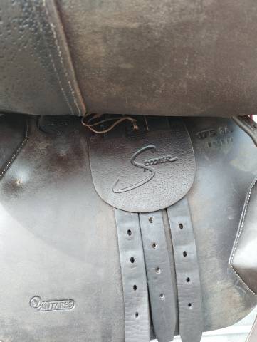 Selle Antares  taille 17,5, modèle spooner, quartiers 3A