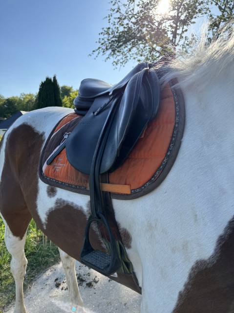 Selle Hervé Godignon noir 17,5