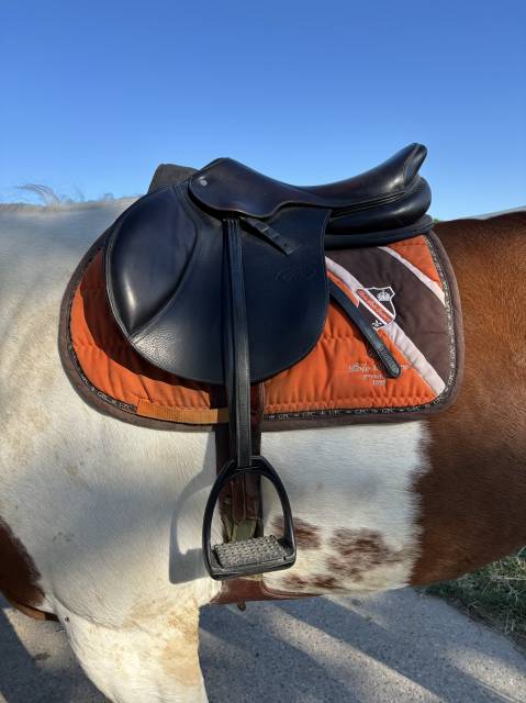 Selle Hervé Godignon noir 17,5