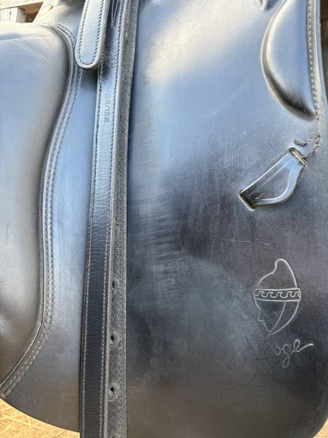 Prestige Italia X-DOGE, taille 18