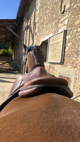 Selle Renaissance 18 pouces