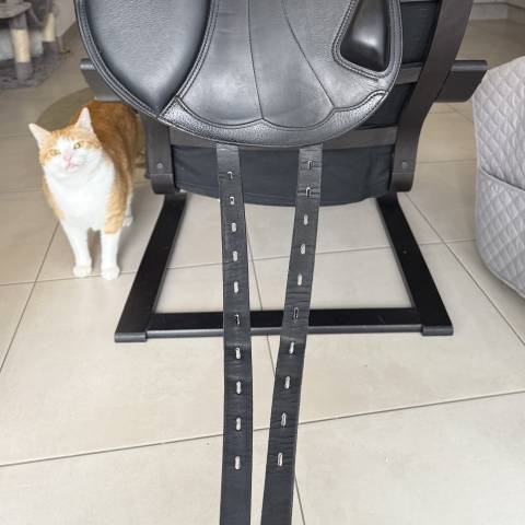 Selle mixte Équipe Expression Mono 17,5”