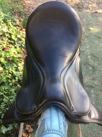 Selle de dressage Kingsley 17,5 