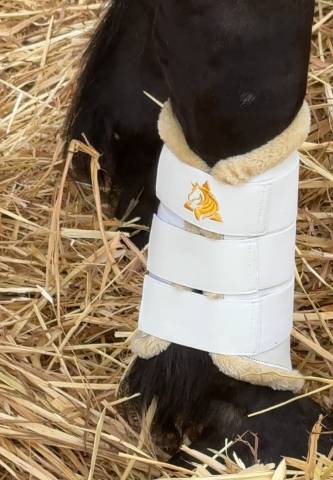 Protecteurs de tendons Trotando Juntos – Confort, sécur