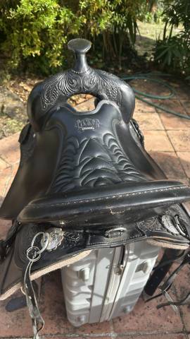 Selle Tucker américaine 