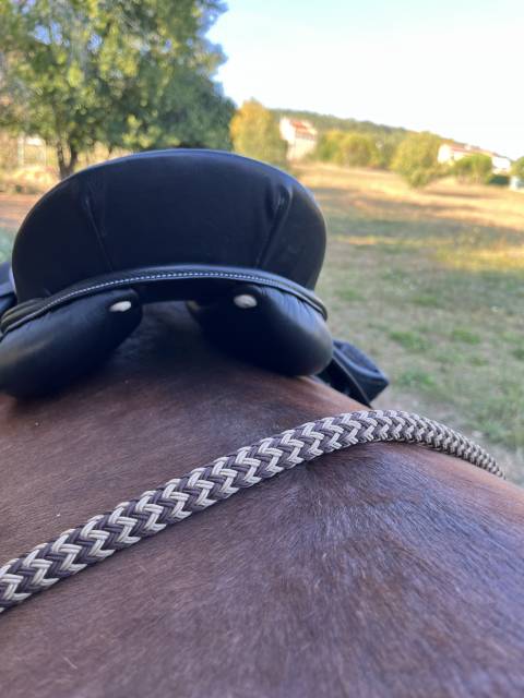 Selle cavalhorse 17pouces arcade interchangeables 