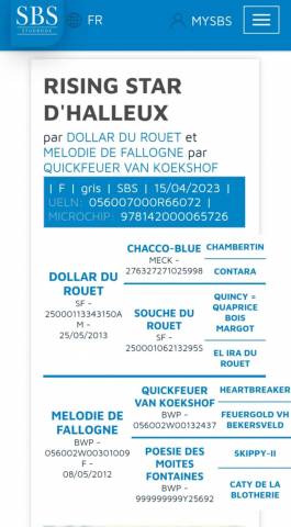 Jument de 2 ans prometteuse 