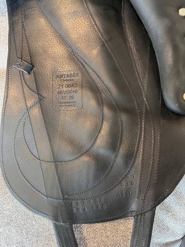 Selle Antares cadence 17 de 2021