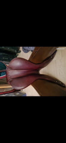 Selle Belloir Moxte CSO tabac 2019