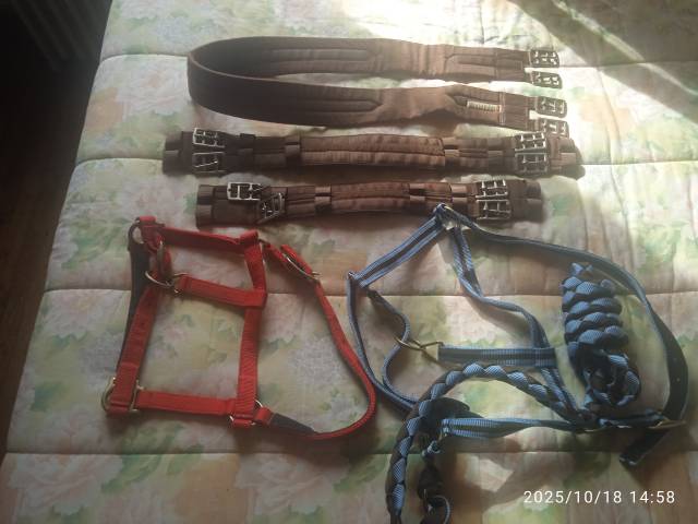 selle Forestier Mixte 