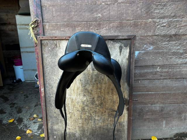 Selle dressage Tempo