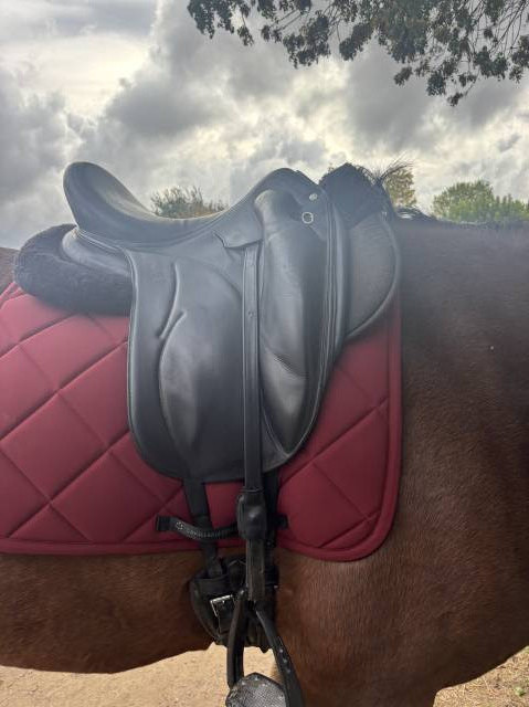 Selle dressage 17,5&rsquo;&rsquo; Devoucoux Makila Lab