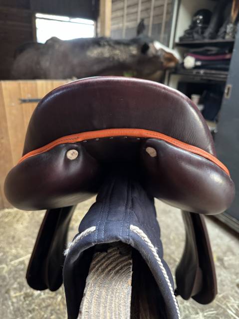 SELLE ANTARES EVOLUTION