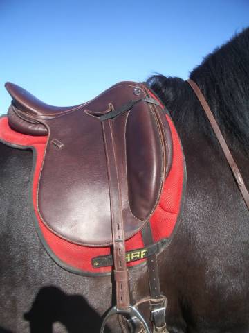 Selle cuir dressage mono quartier 