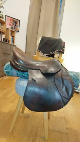 Selle Forestier obstacle 16.5