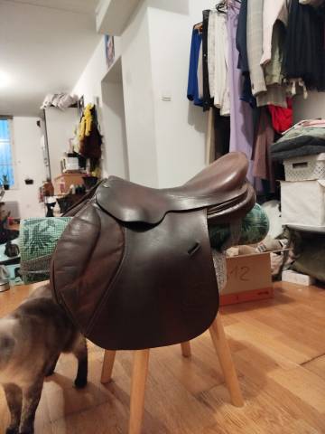 Selle Forestier obstacle 16.5