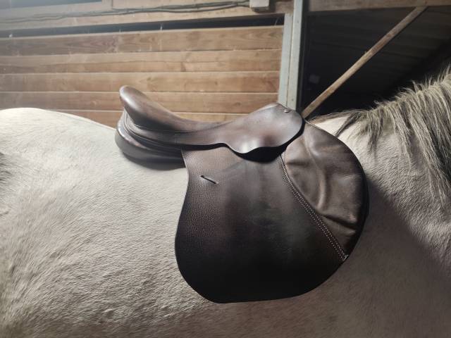 Selle Forestier obstacle 16.5