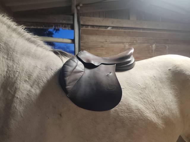 Selle Forestier obstacle 16.5
