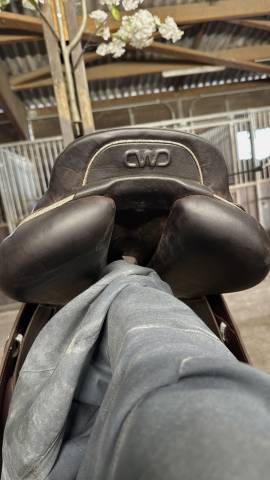 Selle CWD 2025 Taille 17.5 3c