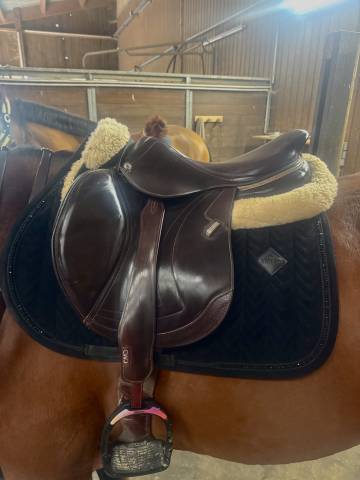 Selle CWD 2025 Taille 17.5 3c