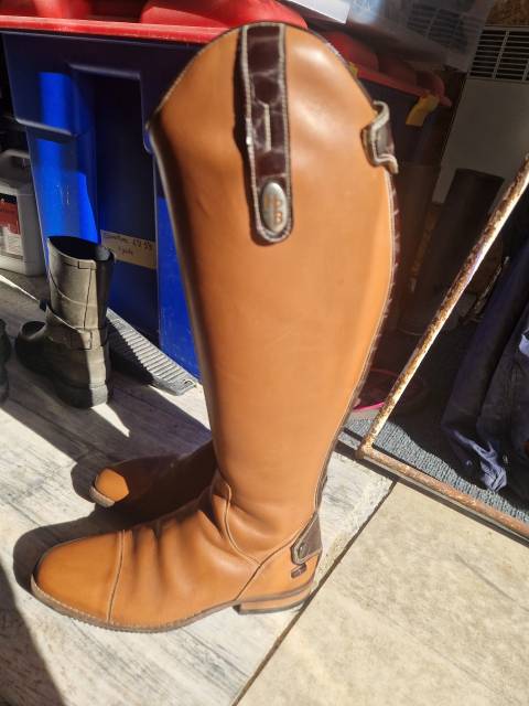 Bottes d'équitation Hathor