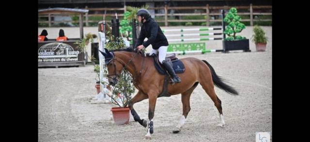 Jument 7 ans extra amateur 