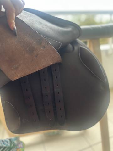 Selle forestier Seoul 18 4A Chataigne Veau / Grainé 