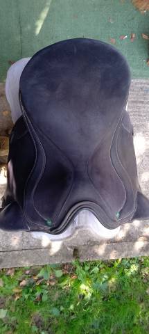 Ludomar "Lud" - Selle de Dressage