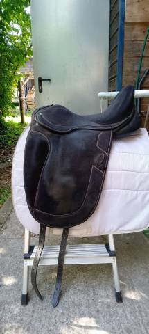 Ludomar "Lud" - Selle de Dressage