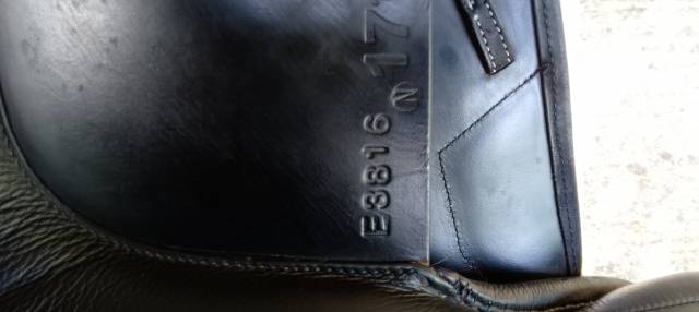 Ludomar "Lud" - Selle de Dressage